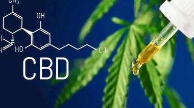 Publican el mayor estudio hecho en Argentina sobre el uso de cannabidiol en epilepsias