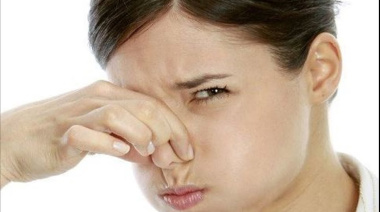 Denuncian a curtiembre por olor nauseabundo en Crucesita